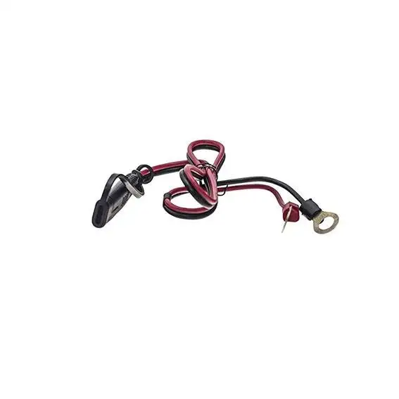 CHARGEUR INTELLIGENT 1Amp 6/12V