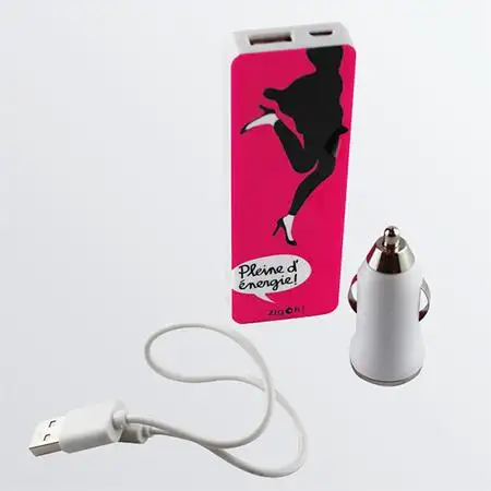 BATTERIE DE PORTABLE RECHARGEABLE COUTURE