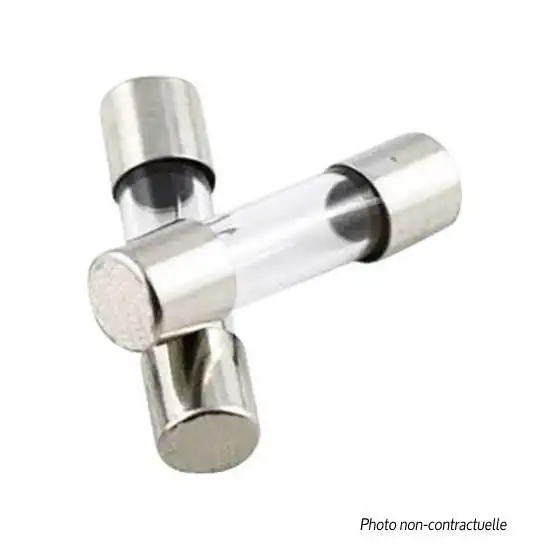 Fusibles verre D6551 - RDI