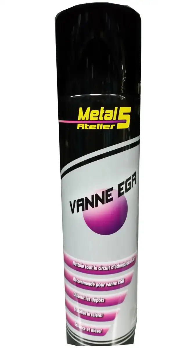 METAL 5 - Nettoyant professionnel vanne EGR - EGR4