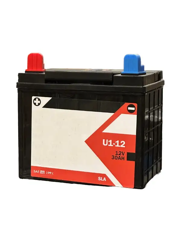TOPCAR - Batterie tondeuse 12V 30Ah 300A - U19