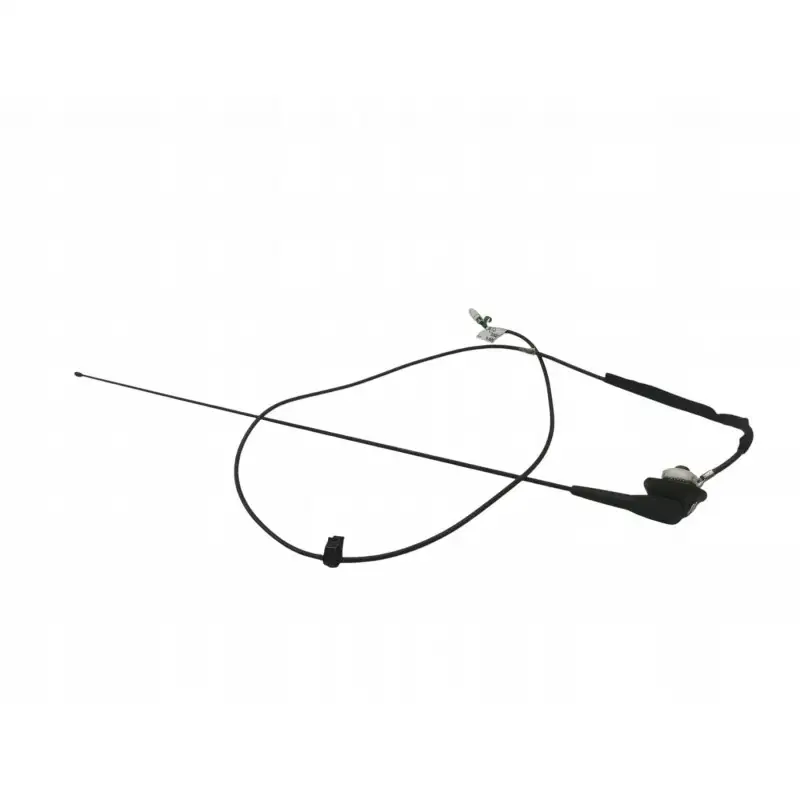 ANTENNE  Renault Kangoo II (2008-  )