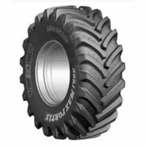 Pneu BKT 650/85 R38 176A8/173D | Agrimax Fortis · Été