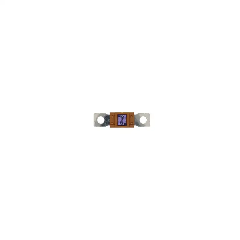 10 Fusibles Magnum 150A