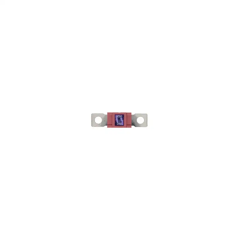 10 Fusibles Magnum 250A