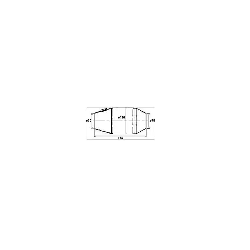 Catalyseur FIA HJS 2000 et 4000 cm3 Ø 70 mm