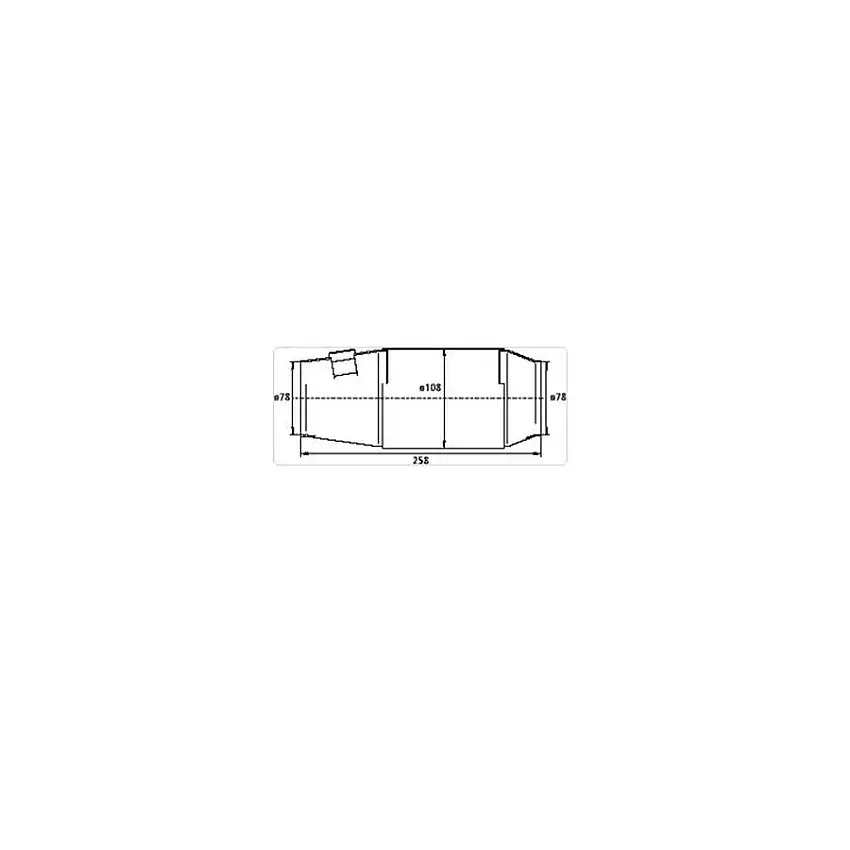 Catalyseur FIA HJS 2000 et 4000 cm3 Ø 78 mm