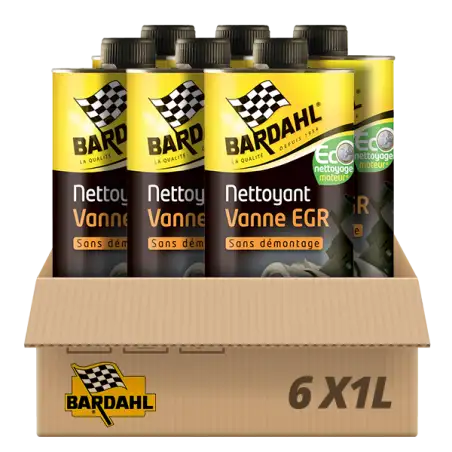 Pack 6 Nettoyants Vanne EGR sans démontage Bardahl