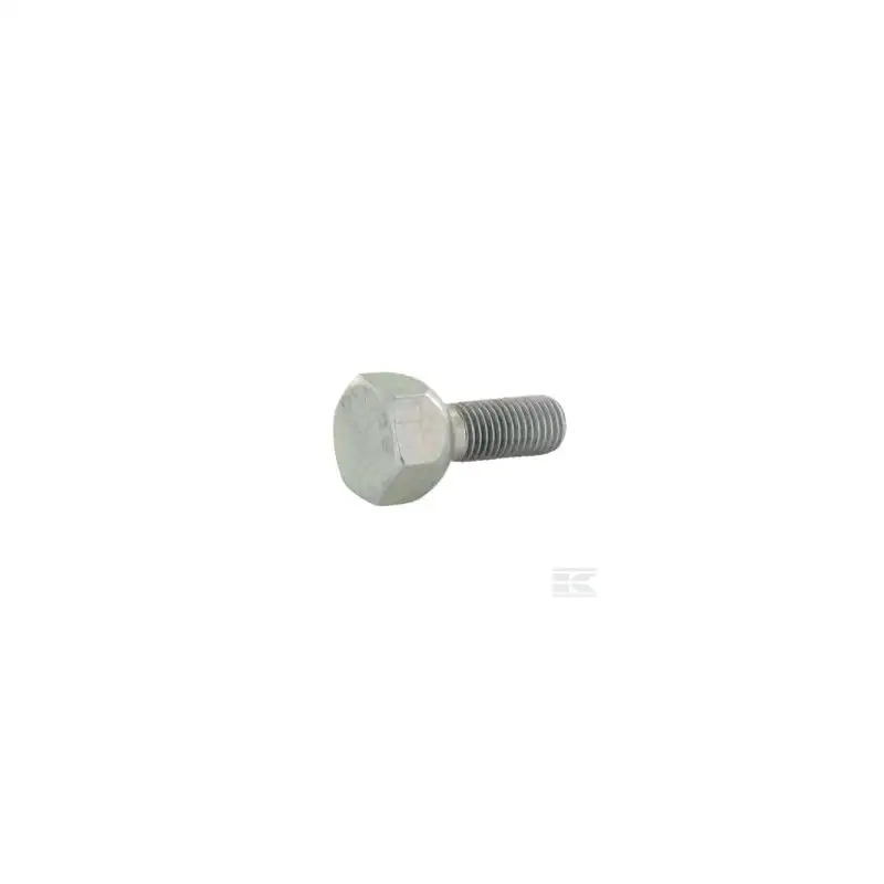 Vis 10x125 - Plat 19 mm - Visserie Roue