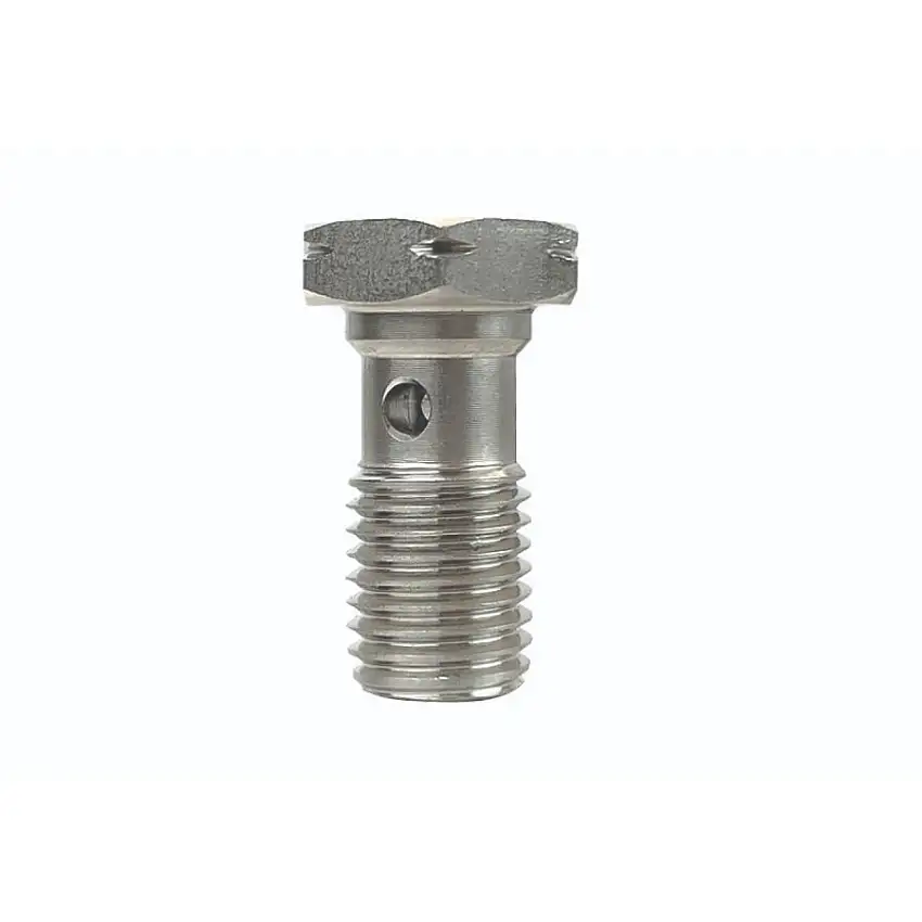 Vis Banjo GOODRIDGE M10 X 1.00 en Inox